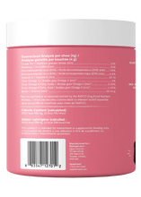 Load image into Gallery viewer, Skin & Coat Chews