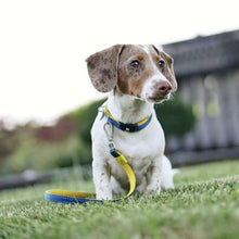 Load image into Gallery viewer, Smart ID Collar Matrix Yellow