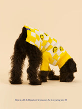 Load image into Gallery viewer, Smiley Sweater