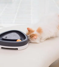 Load image into Gallery viewer, Sneak Attack Electronic Cat Toy