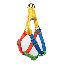 Load image into Gallery viewer, Sonia Harness (Yellow & Lime Multi)