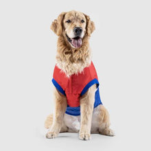 Load image into Gallery viewer, The 360 Jacket