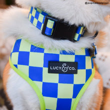 Load image into Gallery viewer, The Have a Nice Day Collar