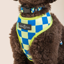 Load image into Gallery viewer, The Have a Nice Day Reversible Harness