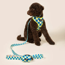 Load image into Gallery viewer, The Have a Nice Day Reversible Harness