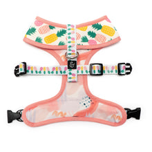Load image into Gallery viewer, The Poolside Chillin Reversible Harness