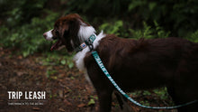 Load image into Gallery viewer, Trip Collar (Green)