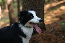 Load image into Gallery viewer, Trip Collar (Green)