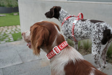 Load image into Gallery viewer, Trip Collar (Red)