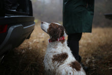 Load image into Gallery viewer, Trip Collar (Red)