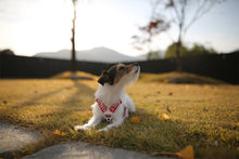 Load image into Gallery viewer, Trip Harness (Red)