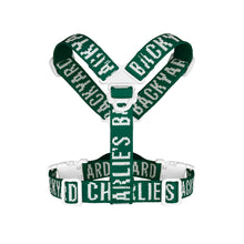 Load image into Gallery viewer, Trip Harness (Green)