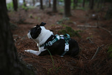 Load image into Gallery viewer, Trip Harness (Green)