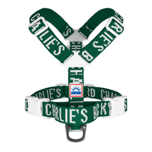 Load image into Gallery viewer, Trip Harness (Green)