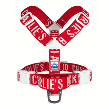 Load image into Gallery viewer, Trip Harness (Red)