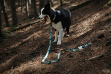 Load image into Gallery viewer, Trip Leash (Green-One Size)