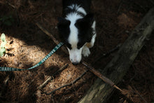 Load image into Gallery viewer, Trip Leash (Green-One Size)