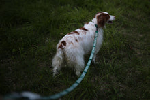 Load image into Gallery viewer, Trip Leash (Green-One Size)