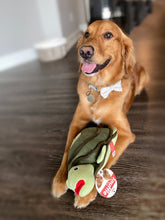 Load image into Gallery viewer, Turtle Snuffle Toy