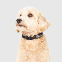 Load image into Gallery viewer, Utility Collar Black