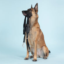 Load image into Gallery viewer, Visibility Leash (Black)