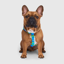 Load image into Gallery viewer, Waterproof Harness (Blue)