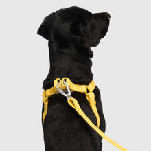 Load image into Gallery viewer, Waterproof Harness (Yellow)