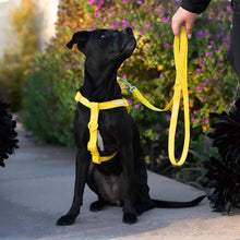Load image into Gallery viewer, Waterproof Harness (Yellow)