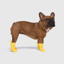 Load image into Gallery viewer, Waterproof Rain Boots (Yellow)