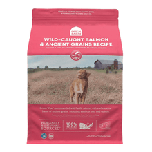 Load image into Gallery viewer, Wild Salmon Ancient Grains Dog Food