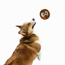 Load image into Gallery viewer, Zoo Ball 2-in-1 Owl 4"