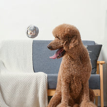 Load image into Gallery viewer, Zoo Ball 2-in-1 Sheep 4"