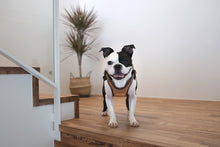 Load image into Gallery viewer, Comfort Harness (Brown)