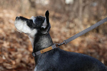 Load image into Gallery viewer, Easy Leash | Grey - WAGSUP
