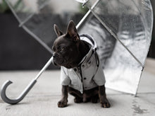 Load image into Gallery viewer, Light Grey Raincoat