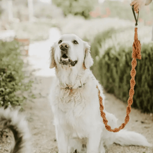 Load image into Gallery viewer, Macrame Dog Leash | Blush - WAGSUP