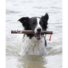 Load image into Gallery viewer, Stick Family Toy | Twiggy