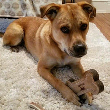 Load image into Gallery viewer, Natural Leather & Wool Bone Toy - WAGSUP