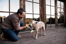 Load image into Gallery viewer, Halloween Howling Haunts Stone & Ghost - WAGSUP