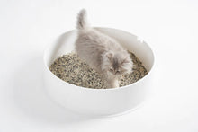 Load image into Gallery viewer, 3-in-1 Mixed Cat Litter 5.2kg Pail
