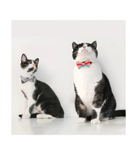 Load image into Gallery viewer, Cat Bow Tie Collar
