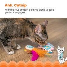 Load image into Gallery viewer, Catnip Festival Cat Toy 3 Pack
