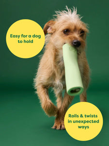 Chew Toy Green Rubber