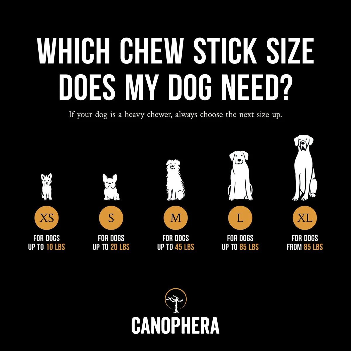 Olive Tree Wood Stick Chew (1pc) – WAGSUP