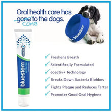 Load image into Gallery viewer, Oral Care Kit Vanilla Mint for Dogs
