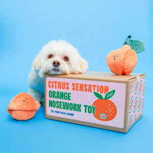 Orange Nosework Toy