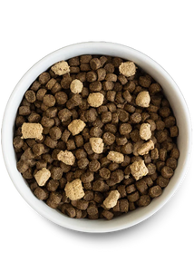 RawMix Wild Ocean Recipe Ancient Grains for Dogs