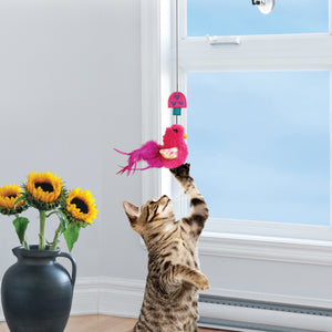 Window Teaser Cat Toy