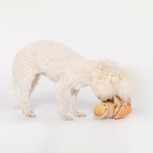 Yellow Onion Nosework Toy