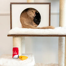 Load image into Gallery viewer, Zippyclaws Nomnomz® Pizza and Cola
